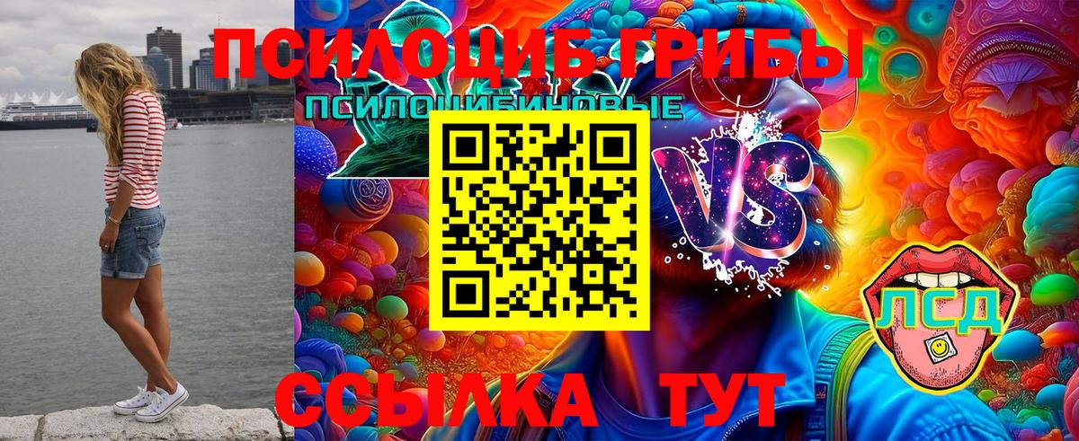 купить   Галлюциногенные грибы MAGIC MUSHROOMS  Вход с VPN  Лысьва 