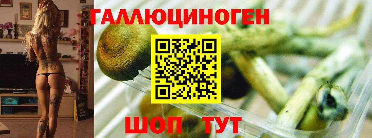 Галлюциногенные грибы MAGIC MUSHROOMS Лысьва